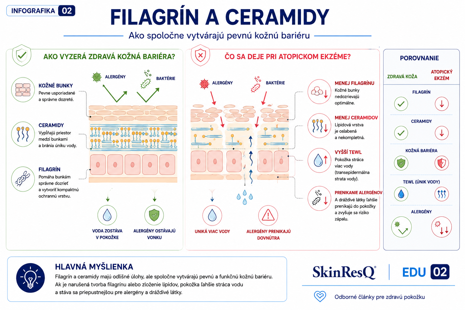 Infografika vysvetľujúca úlohu filagrínu a ceramidov pri vytváraní zdravej kožnej bariéry a zmeny, ku ktorým dochádza pri atopickom ekzéme.