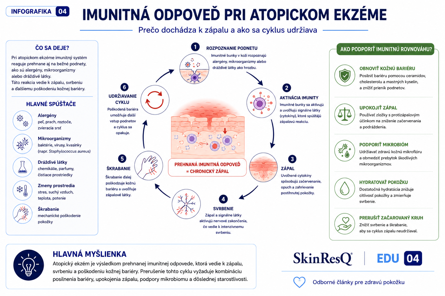 Imunitná odpoveď pri atopickom ekzéme znázorňujúca úlohu Th2 buniek, IgE protilátok a cytokínov pri vzniku chronického zápalu kože.