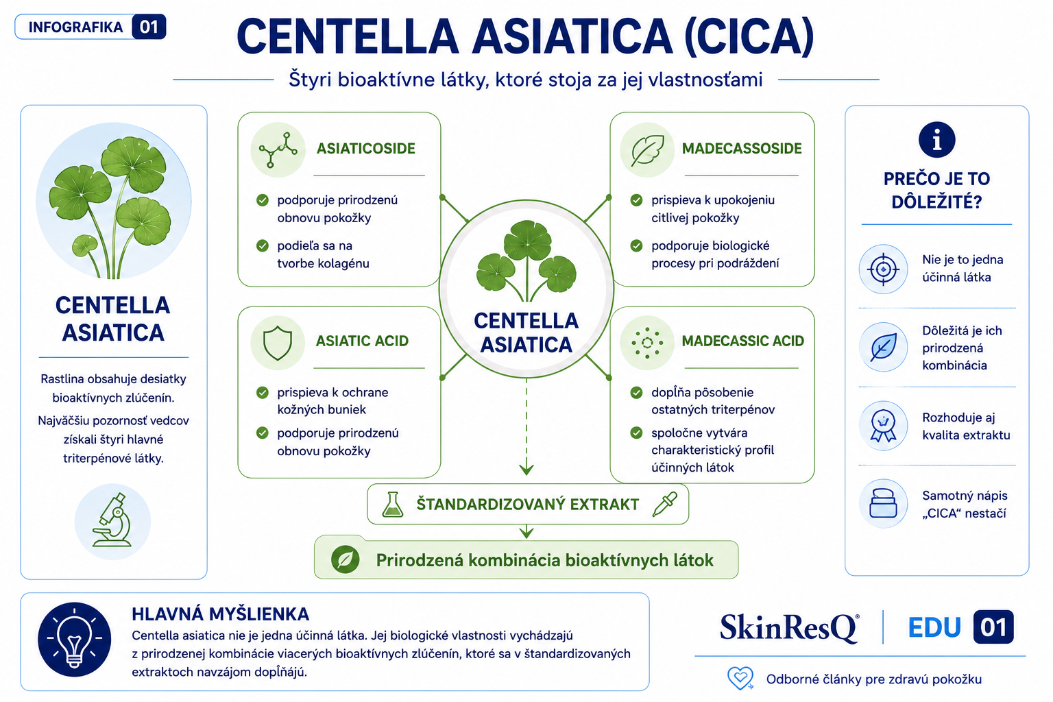 Infografika vysvetľujúca štyri hlavné bioaktívne látky Centella asiatica (CICA), ich vzájomné pôsobenie a význam štandardizovaného extraktu.